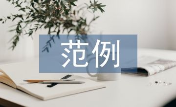 年度述職報告范例