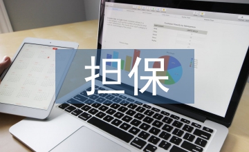 小微企業融資擔保創新及風險防控探究