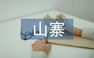 山寨經濟的知識產權研究