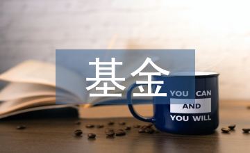 新農(nóng)保基金監(jiān)管措施探討