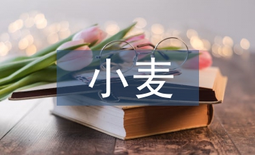 談小麥種植技術(shù)及病蟲(chóng)害防治技術(shù)