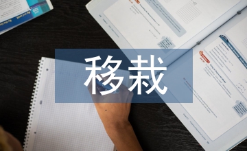 麥后移栽棉花高效栽培技術