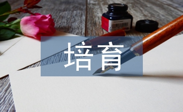 培育學習物理的興趣