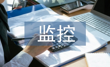 稅源監(jiān)控論文