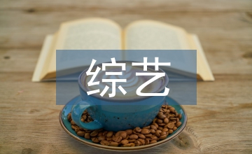 略談綜藝節目內容的創新