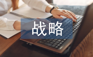多元化戰略公司案例