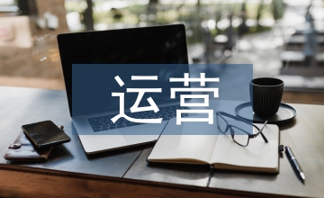 項目實施運營方案
