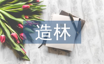 干旱地區育苗造林技術探討