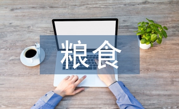 略談糧食的生產(chǎn)規(guī)模及發(fā)展