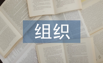 淺述組織管理的發展