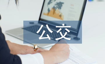 公交調查報告