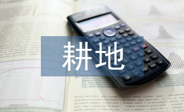 不實(shí)耕地整改工作方案