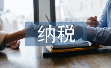 稅務(wù)師納稅評(píng)估