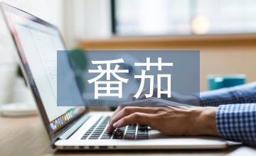 大棚番茄栽培技術的水肥田間管理