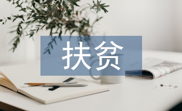 扶貧工作履職報告