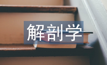 護理專業解剖學教學改革建議