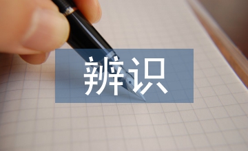 卷積神經網絡下電子音樂辨識模型探析