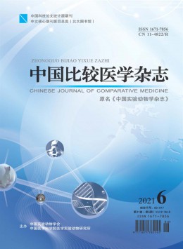 中國實驗動物學雜志